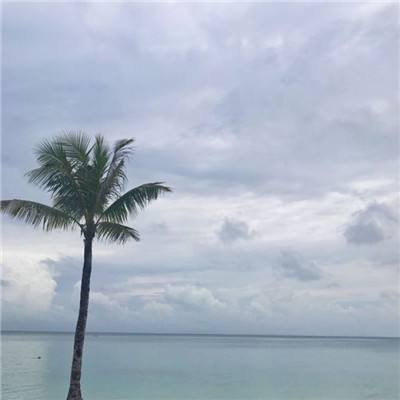 押注篮球的app下载手机版